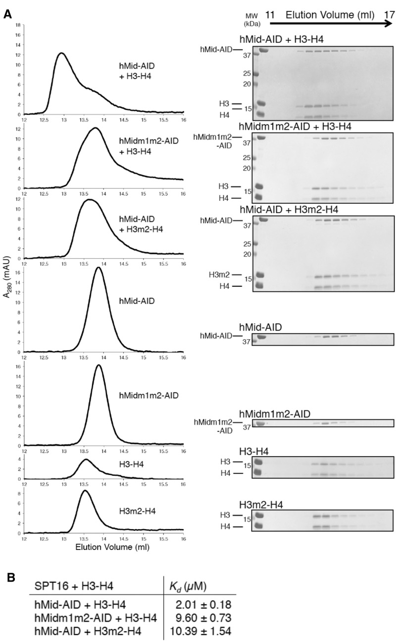 Figure 3.