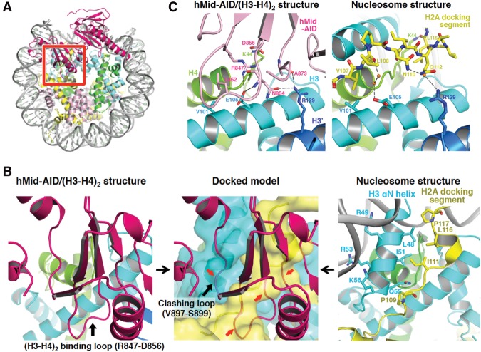 Figure 4.