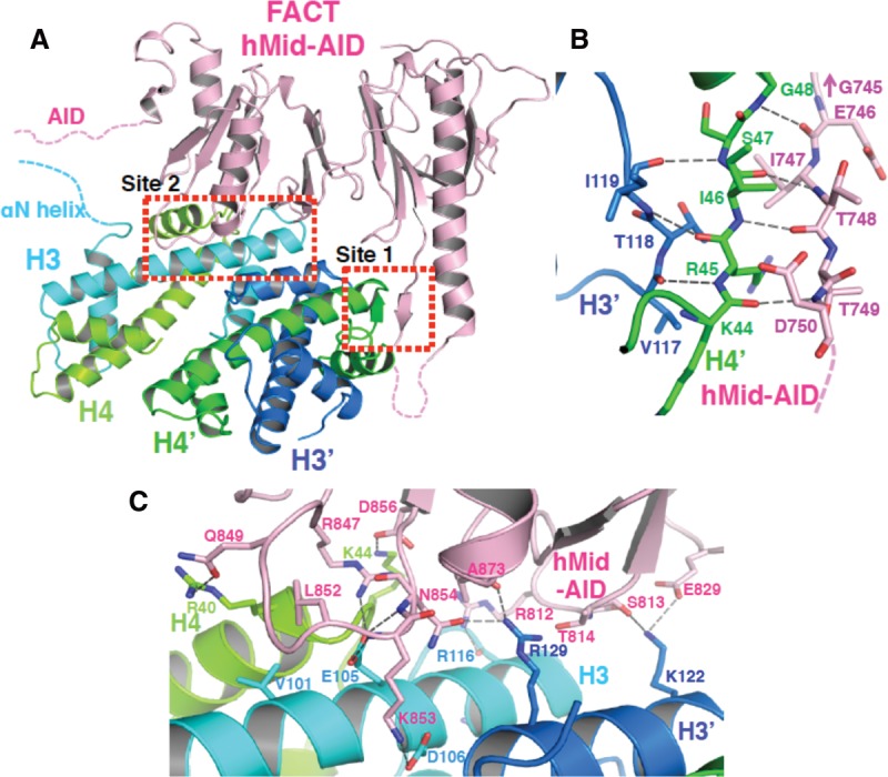 Figure 2.