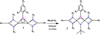 Scheme 2