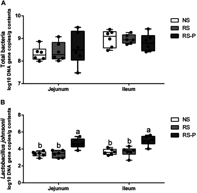 FIGURE 14