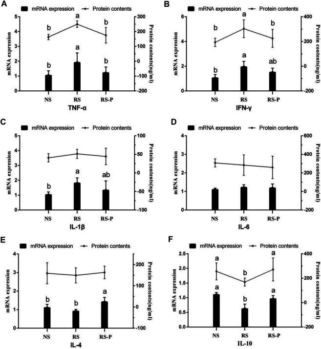 FIGURE 13