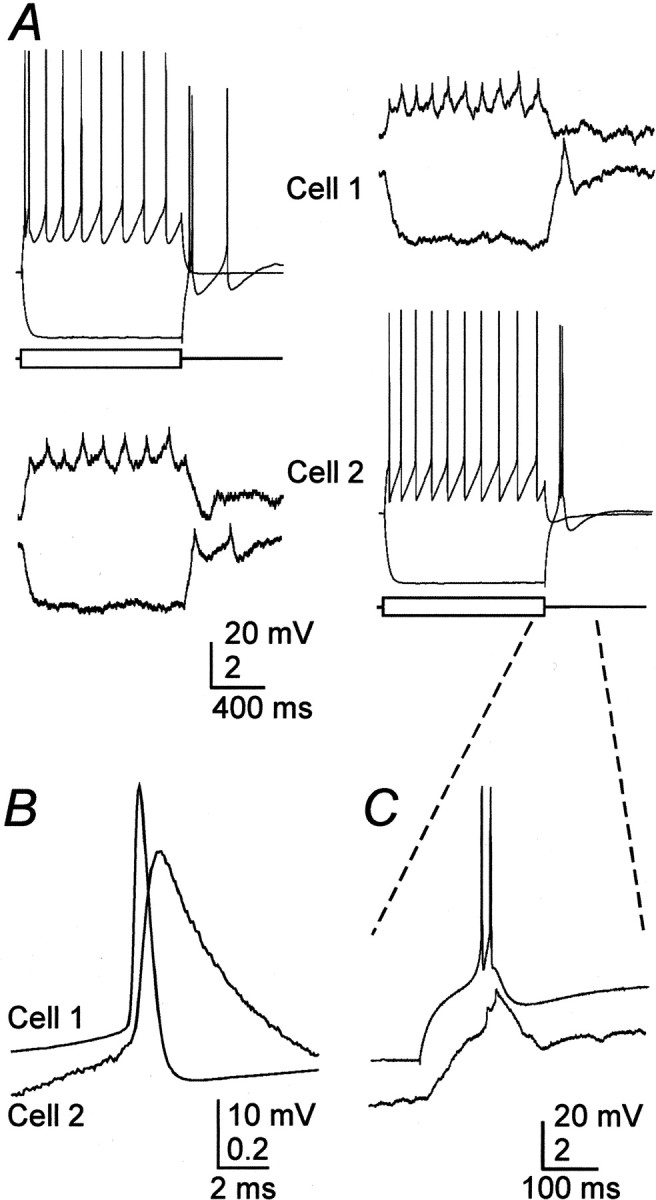 Fig. 2.