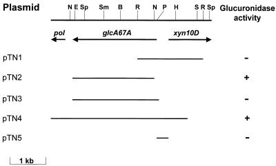 FIG. 1.