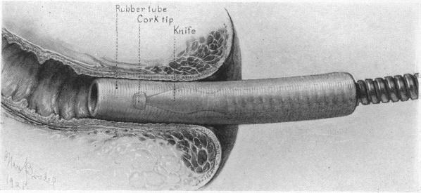 FIG. 10.