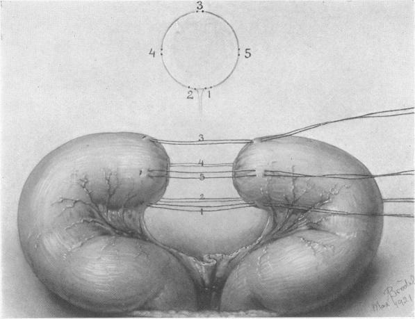 FIG. 7.