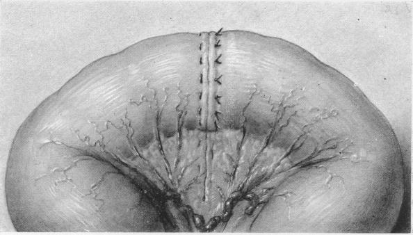 FIG. 9.