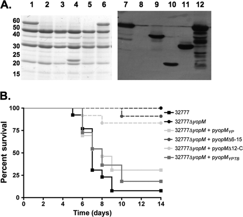 FIG. 6.