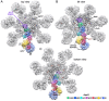 Figure 2—figure supplement 1.