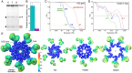 Figure 1—figure supplement 1.