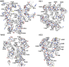 Figure 2—figure supplement 3.