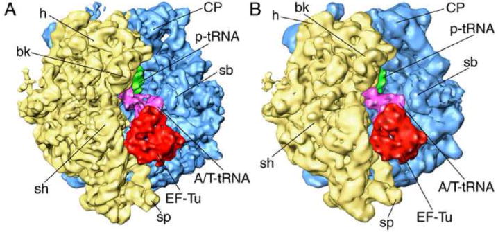 Figure 5