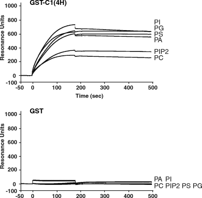 FIGURE 7.