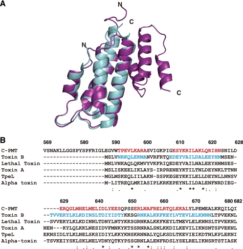 FIGURE 1.