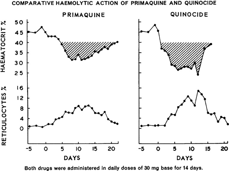 FIG 13