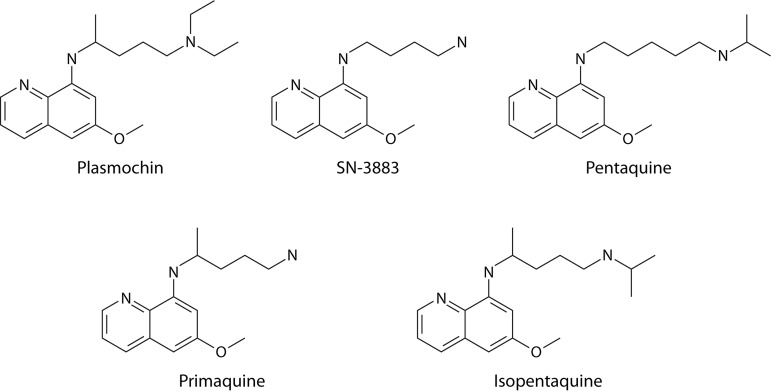 FIG 10