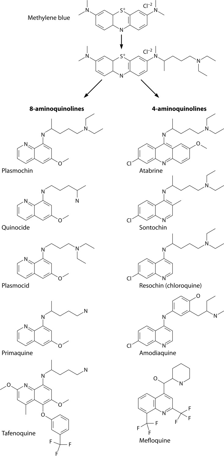 FIG 4