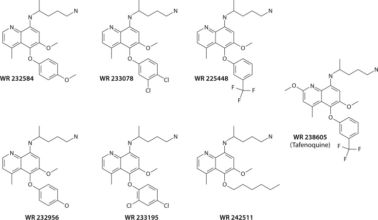 FIG 11