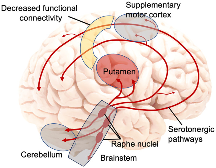 Figure 2