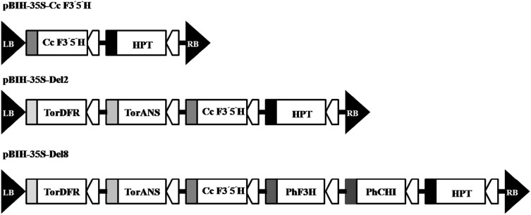 Fig. 2