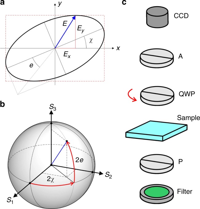 Fig. 10