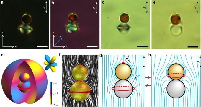 Fig. 4