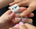 graphic file with name CED-47-1023-g001.jpg