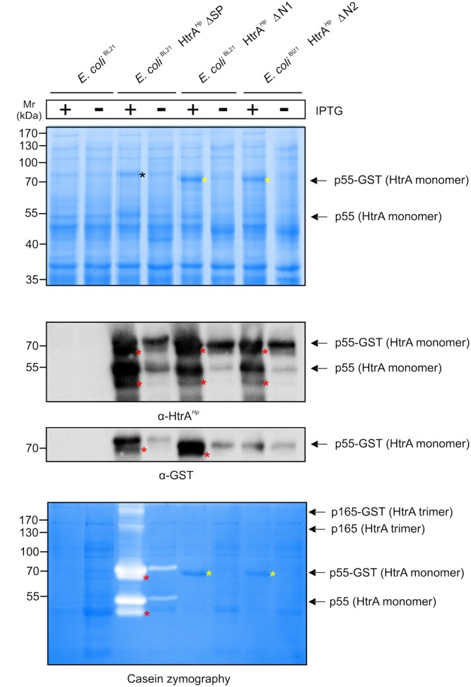 FIGURE 3