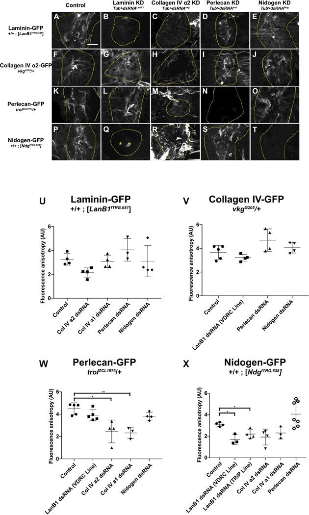 Figure 6: