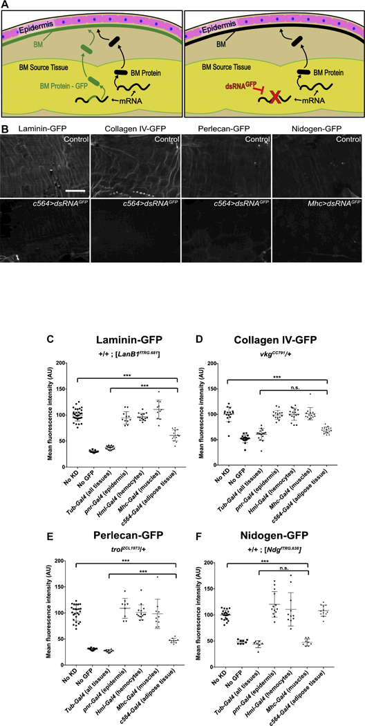 Figure 3: