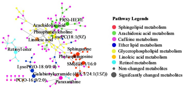 Figure 11