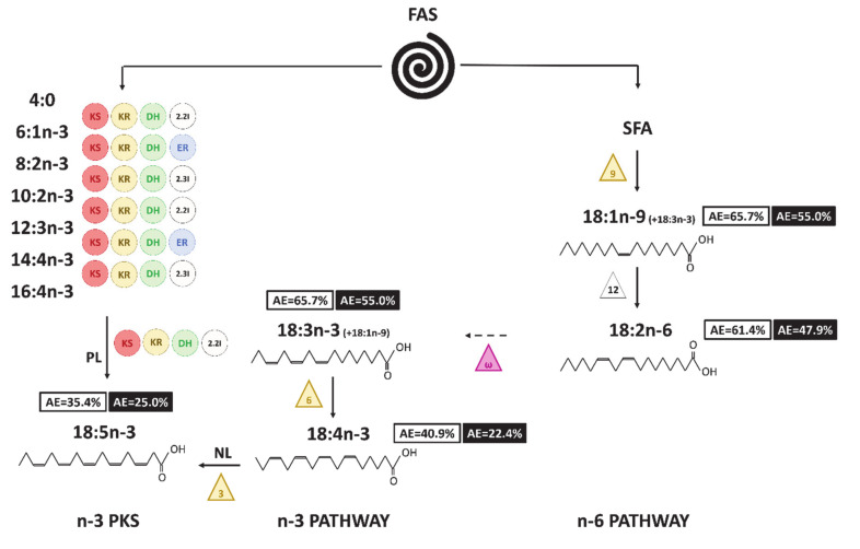 Figure 8