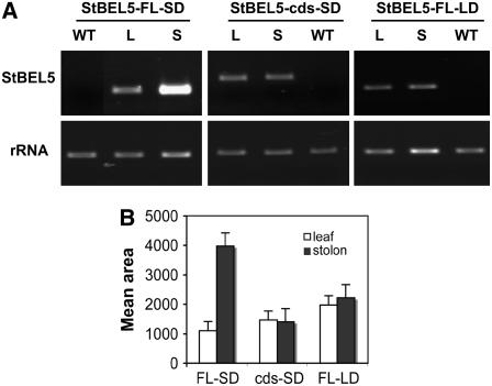 Figure 7.