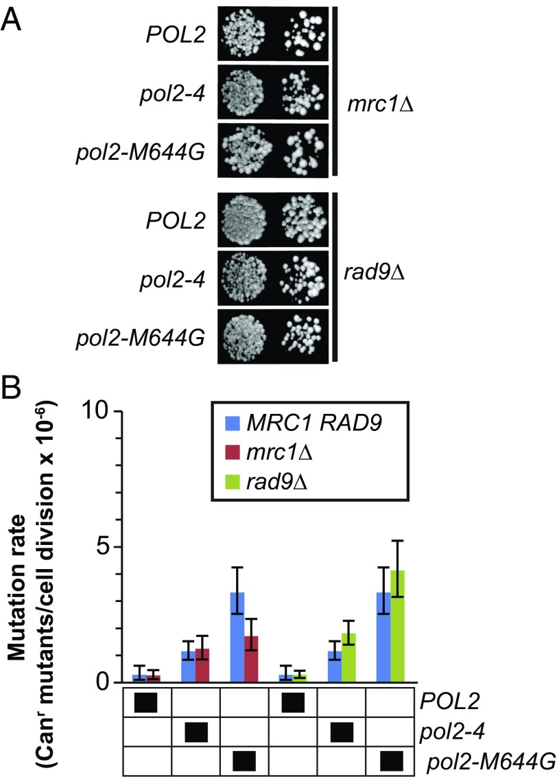 Fig. 4.