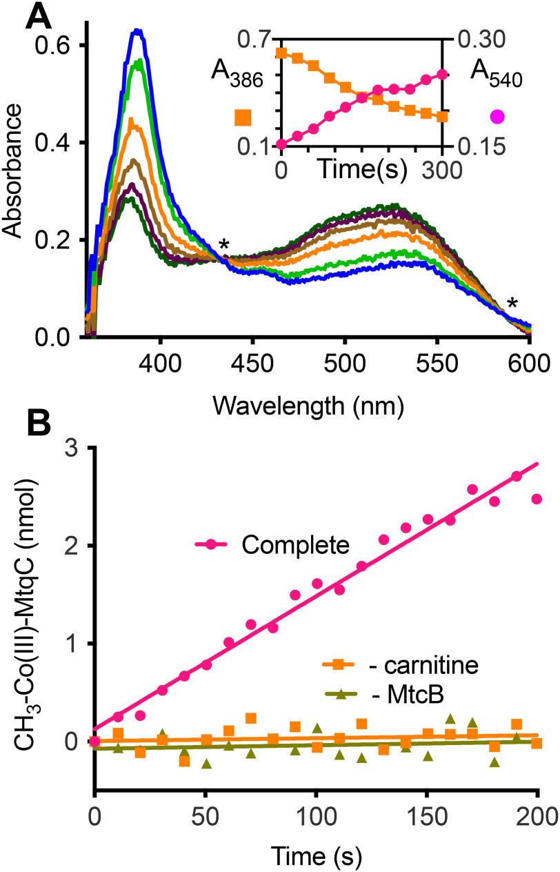 Figure 5.