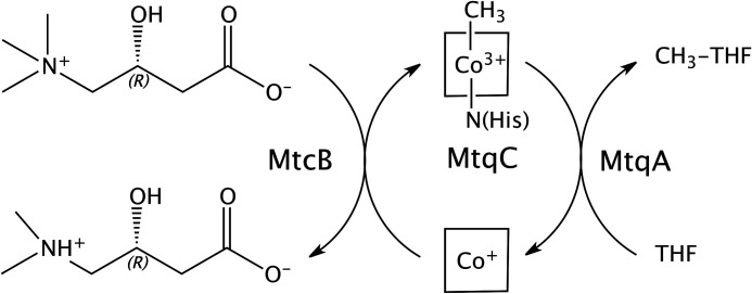 Figure 7.