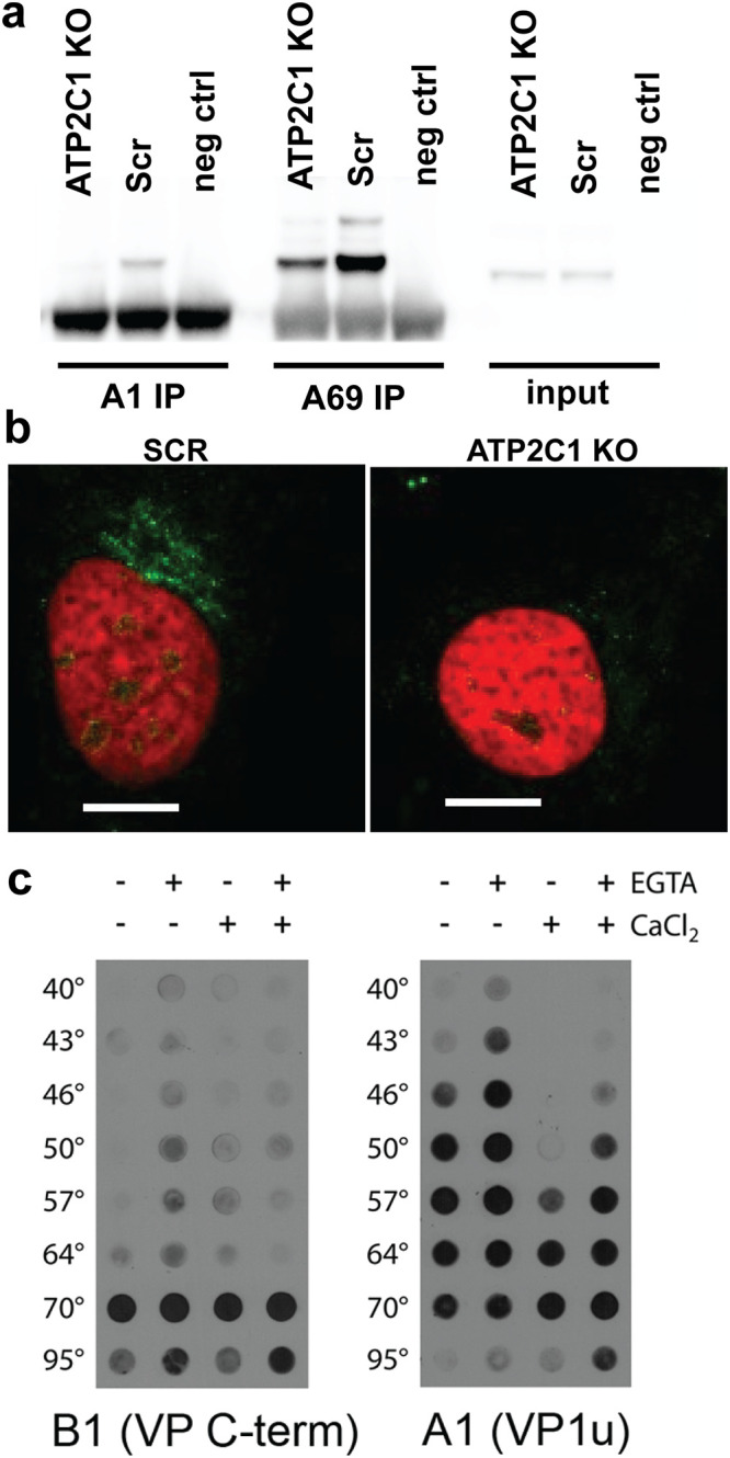 FIG 3