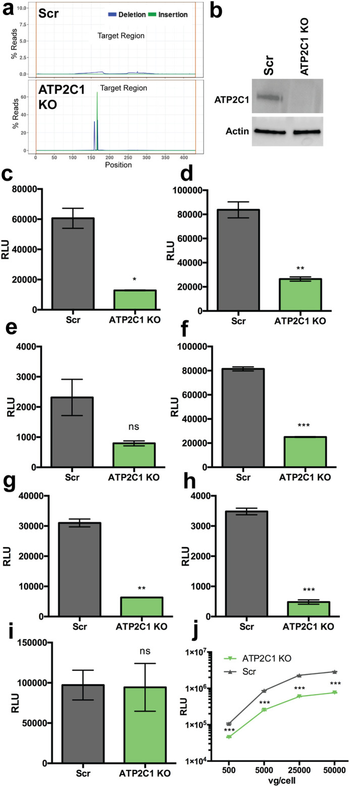 FIG 1