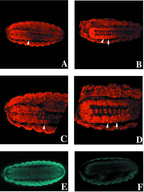 FIG. 8.