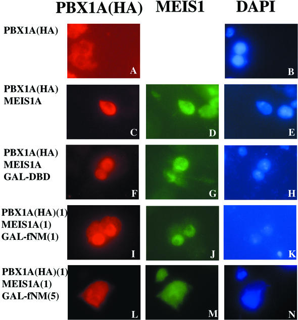 FIG. 6.