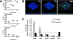 FIG 1