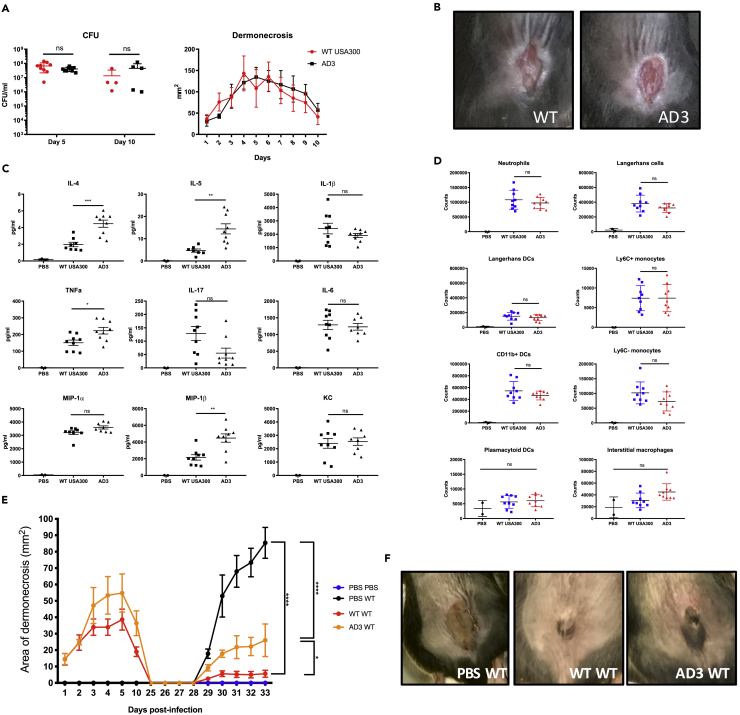 Figure 4