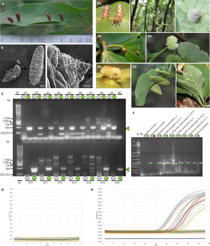 Figure 1