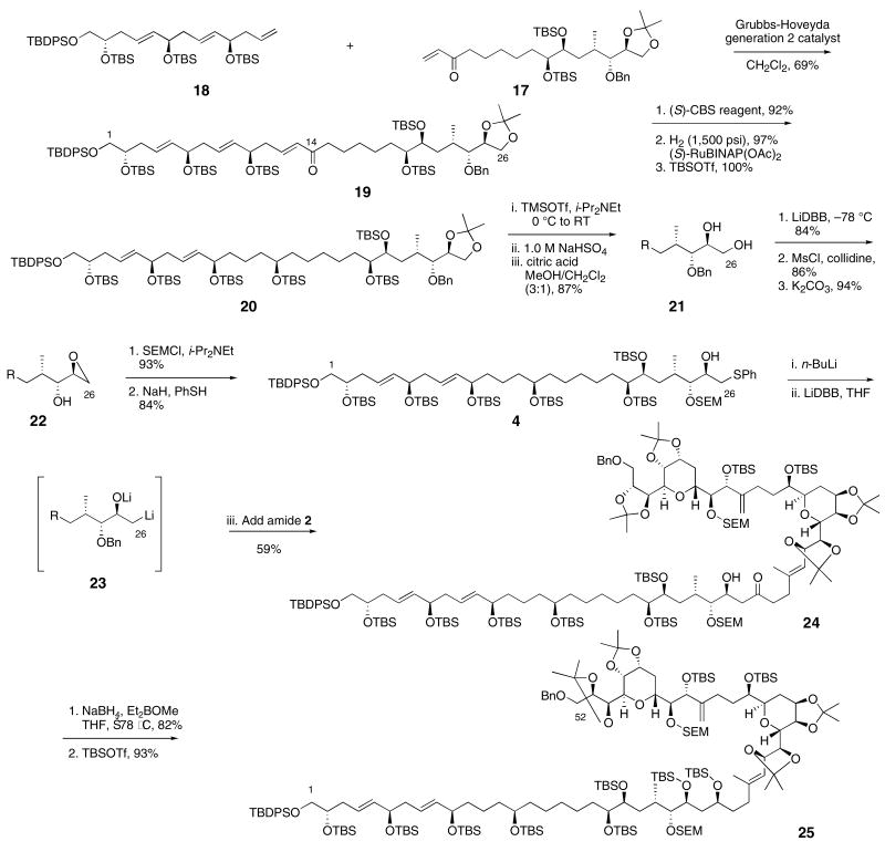 Scheme 4