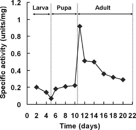 FIGURE 5.