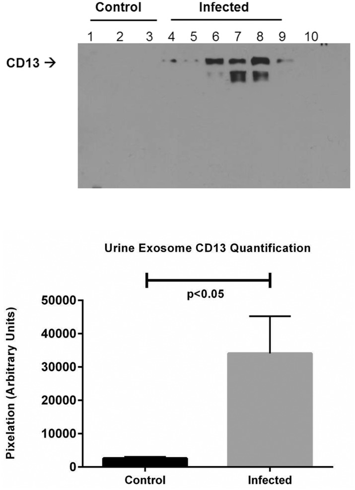 Fig 5