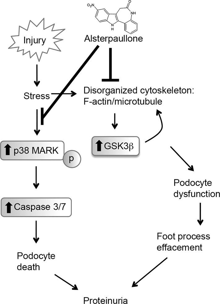 Fig. 8.