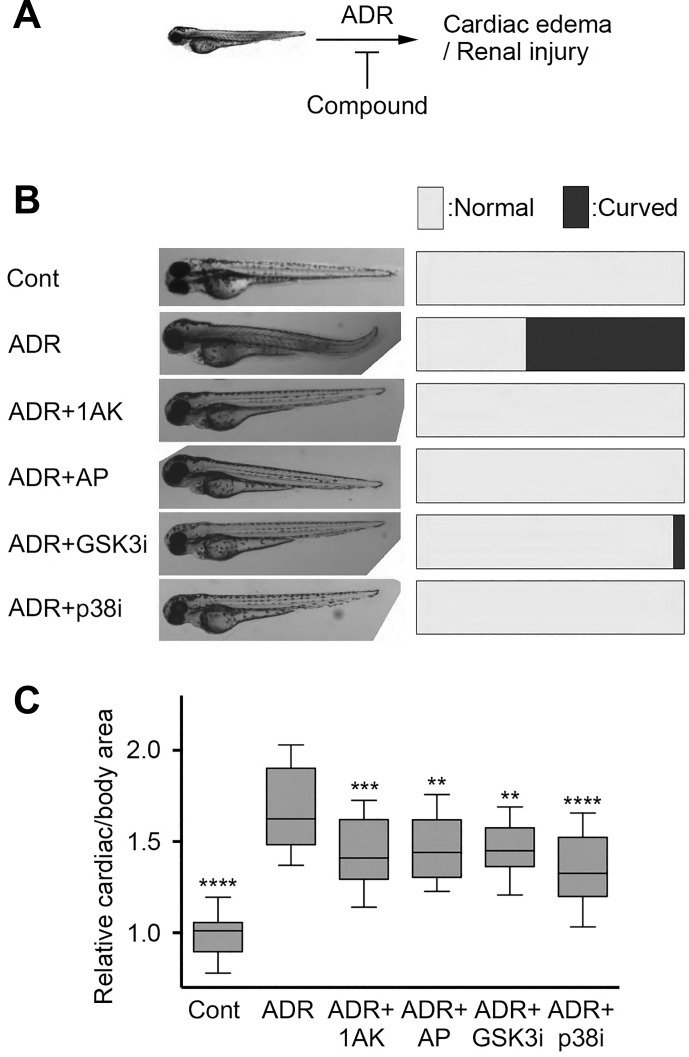 Fig. 7.