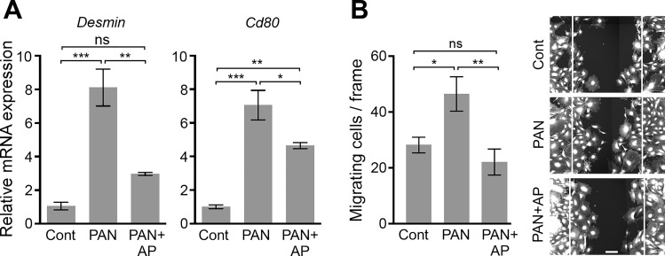 Fig. 4.