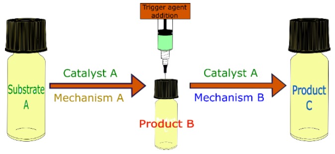 Figure 12